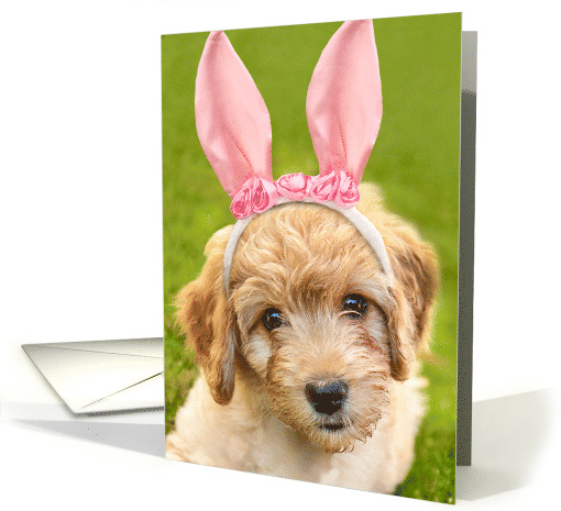 Happy Easter For Anyone Labradoodle Puppy Dog in Bunny Ears card