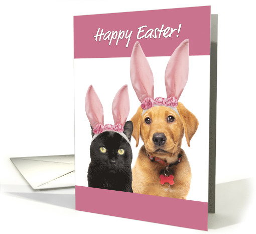 Happy Easter For Anyone Cute Cat and Dog in Bunny Ears card (1675266)