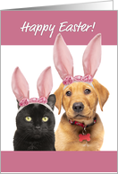 Happy Easter For Anyone Cute Cat and Dog in Bunny Ears card