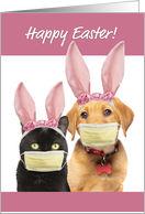 Happy Easter For Anyone Cute Cat and Dog in Covid 19 Face Masks card