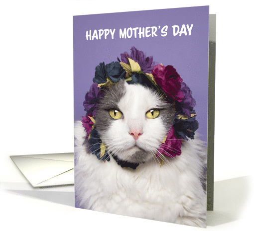 Happy Mother's Day Cute Cat in Flower Crown Humor card (1676158)