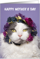 Happy Mother’s Day Cute Cat in Flower Crown Humor card