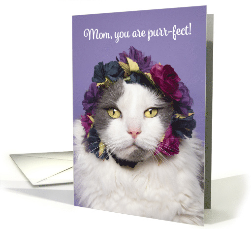 Happy Mother's Day For Mom Cute Cat in Flower Crown Humor card