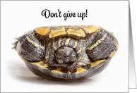 Don’t Give Up Upside Down Turtle Encouragement card