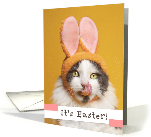 Happy Easter For Anyone Funny Cat in Bunny Ears Licking Face card