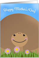 Happy Mother’s Day Cute Tortoise With Flowers card