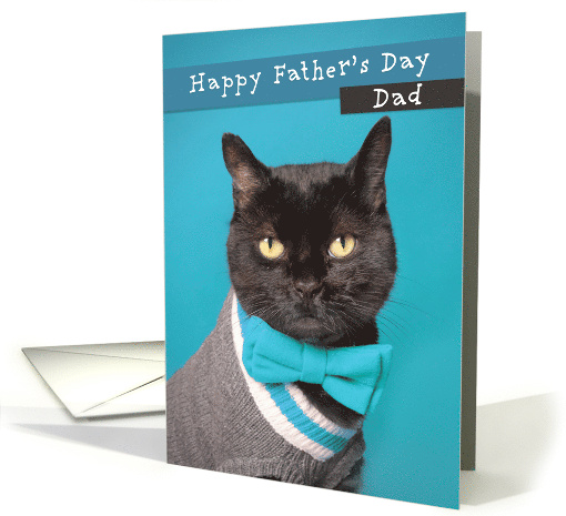 Happy Father's Day Dad Cute Cat in Sweater and Bow Tie Humor card