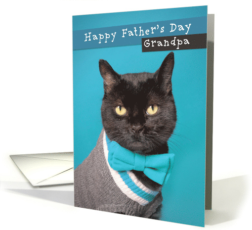 Happy Father's Day Grandpa Cute Cat in Sweater and Bow Tie Humor card