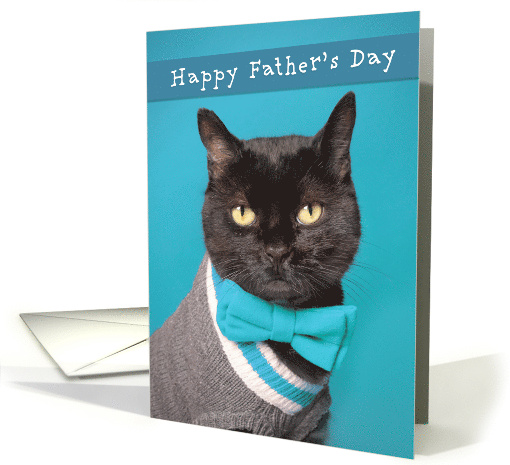 Happy Father's Day Anyone Cute Cat in Sweater and Bow Tie Humor card