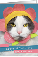 Happy Mother’s Day Mother in Law Cute Cat in Flower Hat Humor card