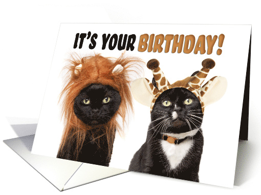 Happy Birthday For Anyone Cats Dressed as Wild Animals Humor card