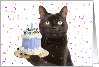 Happy Birthday For Anyone Cat Holding Birthday Cake Humor card