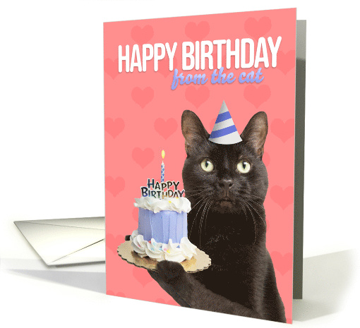 Happy Birthday From The Cat Kitty With Cake Humor card (1678484)