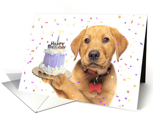 Happy Birthday From The Dog Puppy With Cake Humor card (1678488)