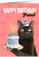 Happy Birthday Friend Cute Cat in Party Hat With Cake Humor card