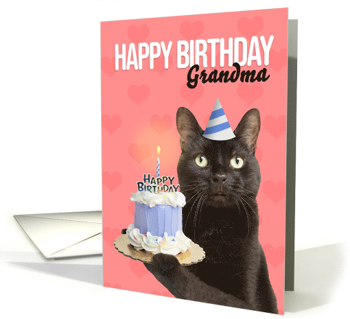 Happy Birthday Grandma Cat in Party Hat With Cake Humor card (1678958)