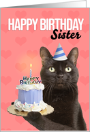 Happy Birthday Sister Cat in Party Hat With Cake Humor card