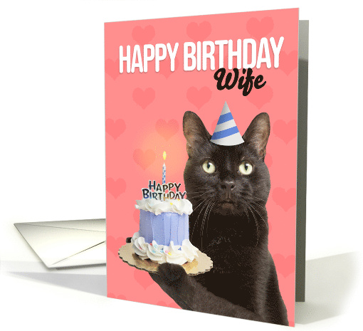 Happy Birthday Wife Cat in Party Hat With Cake Humor card (1679052)
