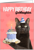 Happy Birthday Goddaughter Cat in Party Hat With Cake Humor card