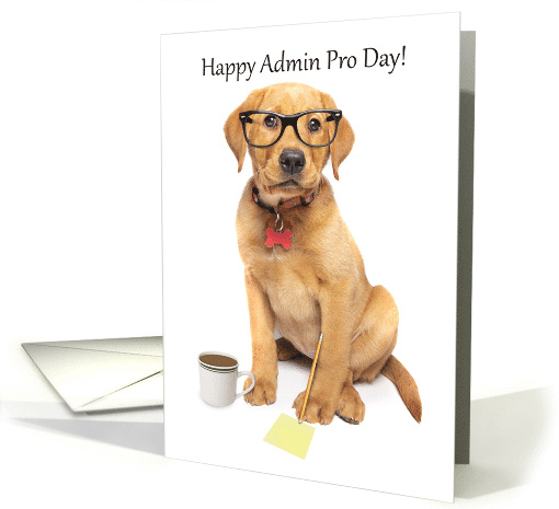 Happy Administrative Professional Day Cute Labrador Puppy Humor card