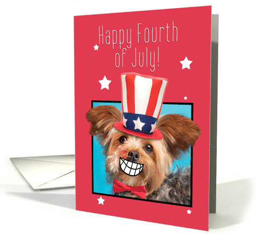 Happy Fourth of July Smiling Yorkie Dog Humor card (1679762)