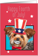 Happy Fourth of July Smiling Yorkie Dog Humor card