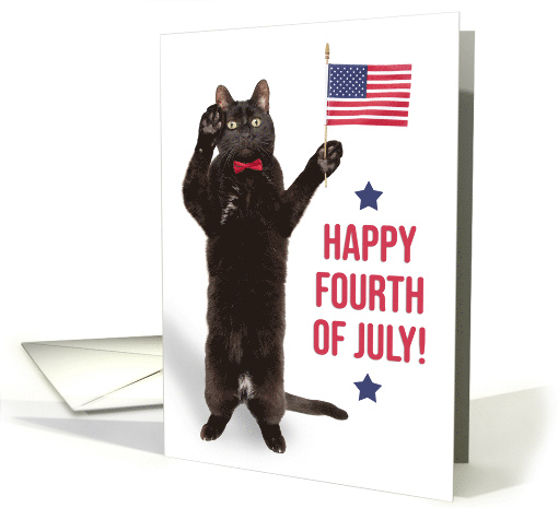 Happy Fourth of July Cite Cat Holding Flag and Saluting card (1679768)