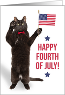 Happy Fourth of July Cite Cat Holding Flag and Saluting card