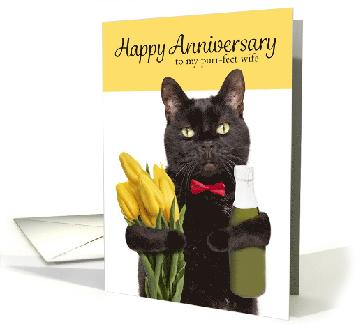 Happy Anniversary Wife Cute Cat With Flowers and Champagne card