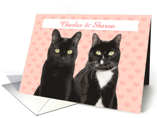 Happy Anniversary Cute Cat Couple With Custom Names card (1679872)
