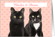 Happy Anniversary Cute Cat Couple With Custom Names card