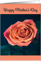 Happy Mother’s Day Beautiful Peach Rose Photograph card