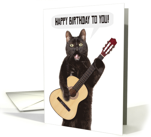 Happy Birthday Funny Cat Singing and Playing Guitar Humor card