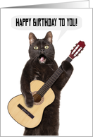 Happy Birthday Funny Cat Singing and Playing Guitar Humor card