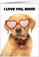 Happy Mother’s Day Cute Labrador Puppy in Heart Glasses Humor card