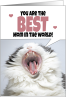Happy Mother’s Day Cat Shouting Humor card
