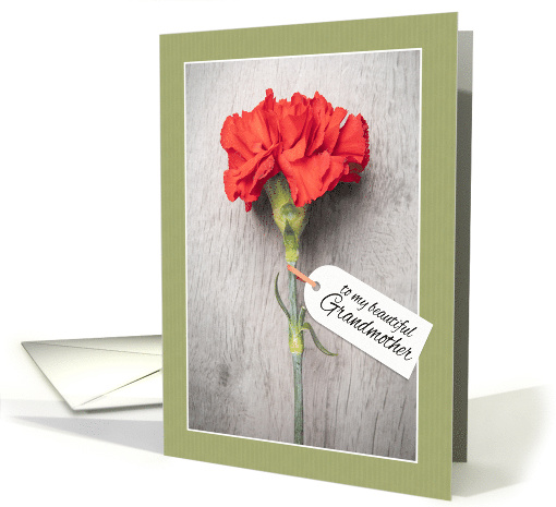 Happy Mother's Day Grandmother Beautiful Carnation With Tag card