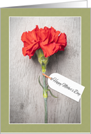 Happy Mother’s Day Beautiful Carnation With Tag card