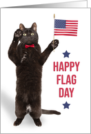 Happy Flag Day Funny Black Cat Holding Flag and Saluting card