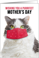 Happy Mother’s Day Funny Cat in Covid Face Mask Humor card