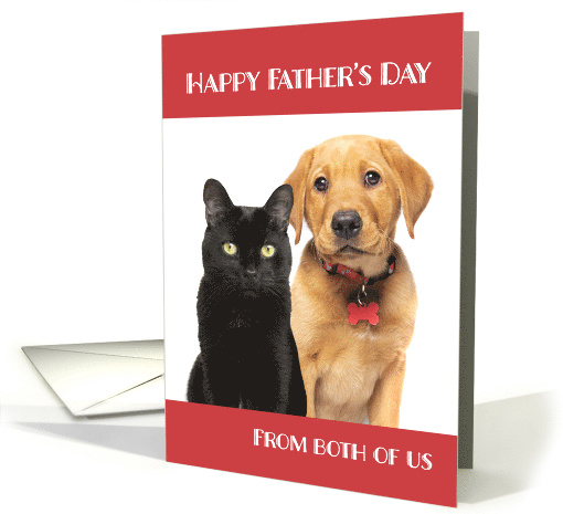 Happy Father's Day Cat and Dog From Both of Us Humor card (1683972)
