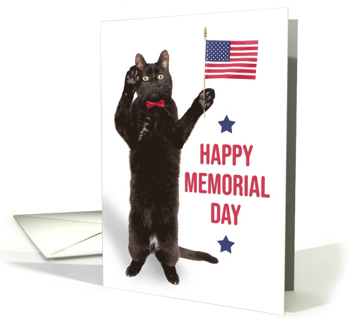 Happy Memorial Day Cat With Flag Saluting card (1684344)