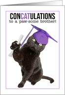 Congratulations Graduate Brother Funny Cat Puns Humor card