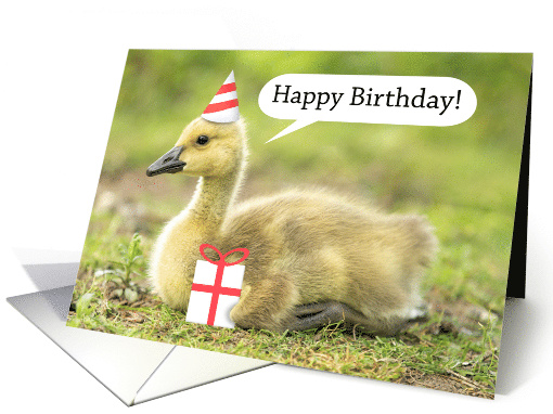 Happy Birthday Warm and Fuzzy Gosling Humor card (1685682)