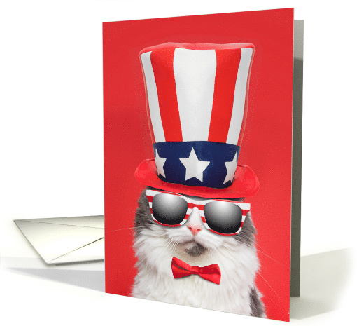 Happy Fourth of July Cool Patriotic Cat Humor card (1685832)