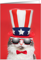 Happy Fourth of July Cool Patriotic Cat Humor card