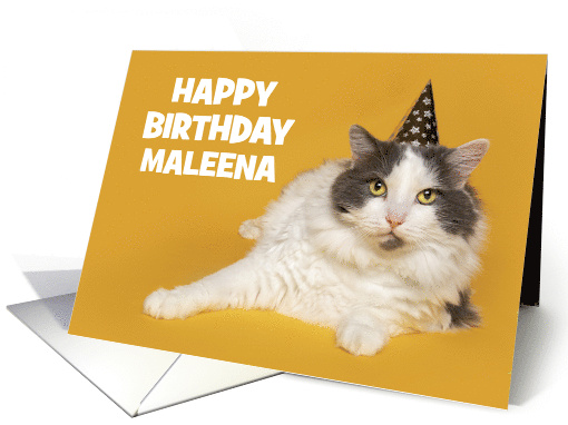 Happy Birthday Custom Name Cute Cat in Party Hat Humor card (1686406)