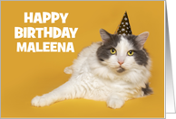 Happy Birthday Custom Name Cute Cat in Party Hat Humor card