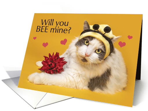 Happy Valentine's Day Cat in Bumblebee Hat Humor card (1686428)