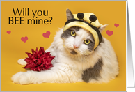 Happy Valentine’s Day Cat in Bumblebee Hat Humor card